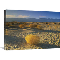 Mesquite Flat Sand Dunes, Death Valley National Park, California-Canvas Art-24"x18"