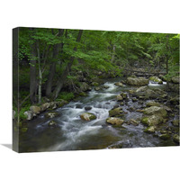 Little Stony Creek flowing through Jefferson National Forest, Virginia-Canvas Art-24"x18"