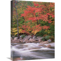 Autumn along Swift River, White Mountains National Forest, New Hampshire-Canvas Art-18"x24"