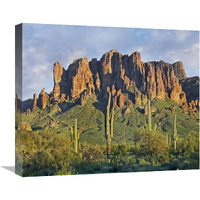 Saguaro cacti and Superstition Mountains, Lost Dutchman State Park, Arizona-Canvas Art-22"x18.26"
