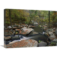 Cedar Creek flowing through deciduous forest, Petit Jean State Park, Arkansas-Canvas Art-24"x18"