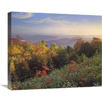 Deciduous forest in autumn, Blue Ridge Mountains from Doughton Park, North Carolina-Canvas Art-22"x18.26"