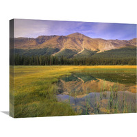 Observation Peak and coniferous forest reflected in pond, Banff National Park, Alberta-Canvas Art-24"x18"