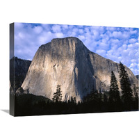 El Capitan rising over the forest, Yosemite National Park, California-Canvas Art-24"x18"