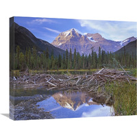 Beaver dam and Mount Robson, Mount Robson Provincial Park, BC, Canada-Canvas Art-24"x20"