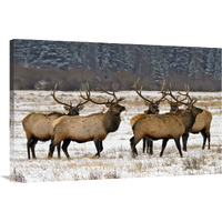 Band of Brothers-Canvas Art-40"x26.8"