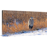 Heron in Winter II-Canvas Art-44"x25.52"