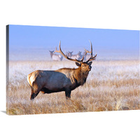 The Family Group-Canvas Art-40"x26.8"