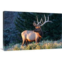 Ready to Run-Canvas Art-36"x24.12"