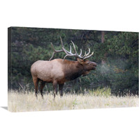 Light Snow Falling-Canvas Art-30"x19.5"