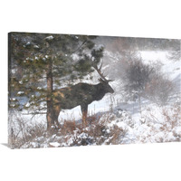 Shelter From the Storm-Canvas Art-40"x26.8"