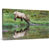 Reflections-Canvas Art-40"x26.8"