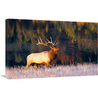 Fall Reflections-Canvas Art-30"x19.5"