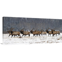 Running in the Snow-Canvas Art-44"x20.68"