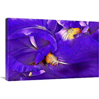 Purple Iris-Canvas Art-30"x20.1"