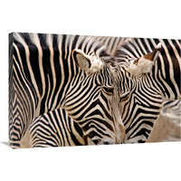 Head to Head-Canvas Art-36"x24.12"