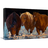 Shadows-Canvas Art-24"x18"