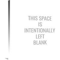 This Space Is Intentionally Left Blank-Canvas Art-30"x30"