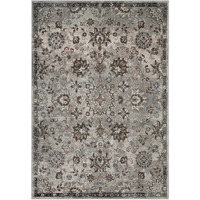 Hana Distressed Vintage FloralLattice 5x8 Area Rug - Silver Blue, Beige and Brown