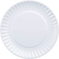 DII White Melamine Picnic Plate (Set of 12)