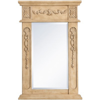 Wood frame mirror 18 inch x 28 inch in Antique Beige