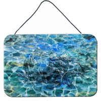 "Caroline's Treasures Hermit Crab Under water Metal Print, 8 H x 12 W"