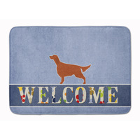 "Caroline's Treasures Irish Setter Welcome Floor Mat, 19 x 27, Multicolor"