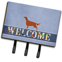 "Caroline's Treasures Irish Setter Welcome Wall Hook, Triple, Multicolor"