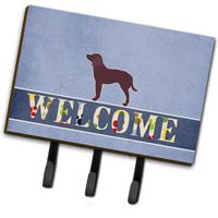 "Caroline's Treasures American Water Spaniel Welcome Wall Hook, Triple, Multicolor"