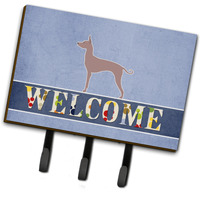 "Caroline's Treasures Dogo Argentino Welcome Wall Hook, Triple, Multicolor"