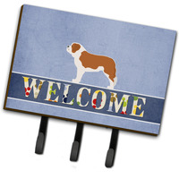 "Caroline's Treasures Saint Bernard Welcome Wall Hook, Triple, Multicolor"
