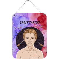 "Caroline's Treasures Sagittarius Zodiac Sign Metal Print, 16H x 12W, Multicolor"