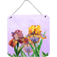Caroline's Treasures Purple and Yellow Iris Door Hanging Prints wall-decor