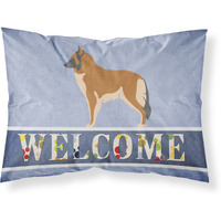 "Caroline's Treasures Belgian Tervuren Welcome Pillowcase, Standard,"