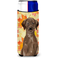"Caroline's Treasures Chocolate Labrador Fall Decorative Can Hugger, Slim, Multicolor"
