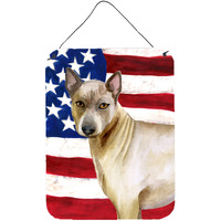 "Caroline's Treasures Thai Ridgeback Patriotic Metal Print, 16"" x 12"", Multicolor"