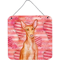 "Caroline's Treasures Pharaoh Hound Metal Print, 6h x 6w, Love is a Dog"