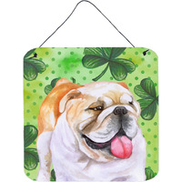 "Caroline's Treasures English Bulldog Metal Print, 6h x 6w, St Patrick's Day"
