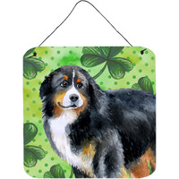 "Caroline's Treasures Bernese Mountain Dog Metal Print, 6h x 6w, St Patrick's Day"