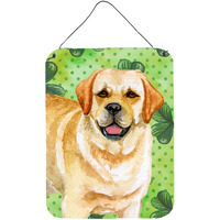 "Caroline's Treasures Golden Retriever St Patrick's Metal Print, 16"" x 12"", Multicolor"