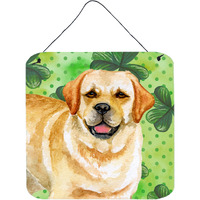 "Caroline's Treasures Golden Retriever Metal Print, 6h x 6w, St Patrick's Day"