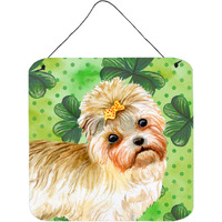 "Caroline's Treasures Morkie Metal Print, 6h x 6w, St Patrick's Day"