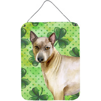 "Caroline's Treasures Thai Ridgeback St Patrick's Metal Print, 16"" x 12"", Multicolor"