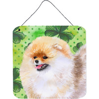 "Caroline's Treasures Pomeranian Metal Print, 6h x 6w, St Patrick's Day"
