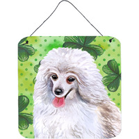 "Caroline's Treasures Medium White Poodle Metal Print, 6h x 6w, St Patrick's Day"