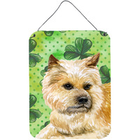 "Caroline's Treasures Cairn Terrier St Patrick's Metal Print, 16"" x 12"", Multicolor"
