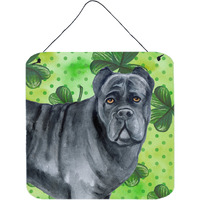"Caroline's Treasures Cane Corso Metal Print, 6h x 6w, St Patrick's Day"