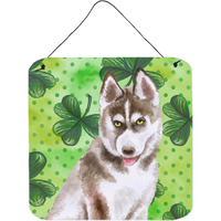 "Caroline's Treasures Siberian Husky Grey Metal Print, 6h x 6w, St Patrick's Day"