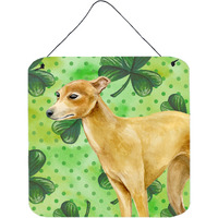 "Caroline's Treasures Italian Greyhound Metal Print, 6h x 6w, St Patrick's Day"