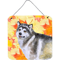 "Caroline's Treasures Alaskan Malamute Metal Print, 6h x 6w, Fall Leaves"